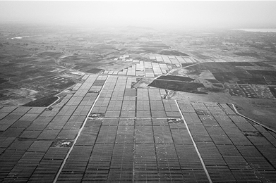 印度成中國(guó)光伏組件最大出口市場(chǎng)