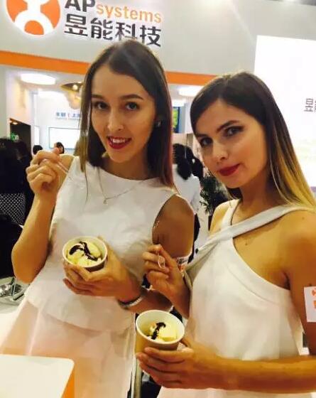 【直擊展會】昱能精彩亮相SNEC2017 &ldquo;民用分布式招商會&rdquo;圓滿成功