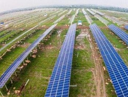 浙江寧波：光伏農業(yè)不僅減排還促進農民增收