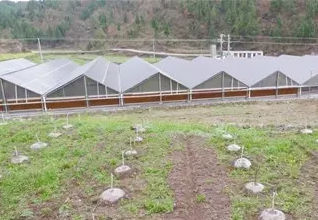 準扶貧看光伏，生態(tài)農(nóng)業(yè)助力農(nóng)村大發(fā)展