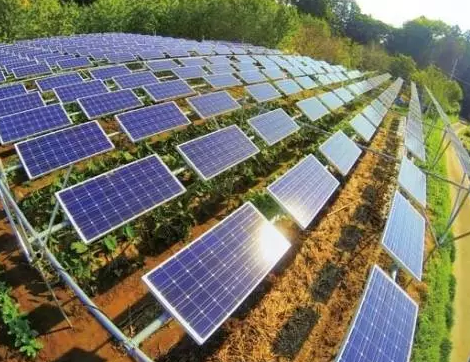 一塊土地 兩份收入！還是光伏農(nóng)業(yè)最靠譜！