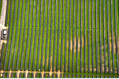 2017年能源監(jiān)管清單明確 對(duì)光伏的好壞參半，影響不一