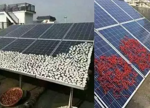 農(nóng)村光伏電站致命殺手是遮擋，這幾樣遮擋萬萬要不得！