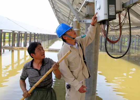 安裝了光伏電站后，居然讓60畝蟹塘從虧損到年入百萬！