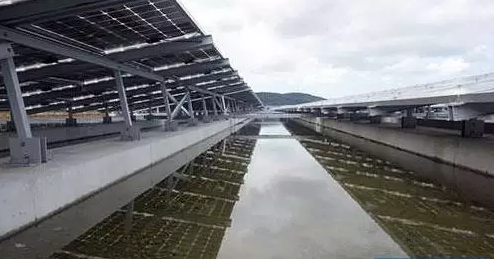 大雨來襲 注意這幾點光伏電站才能不被水淹