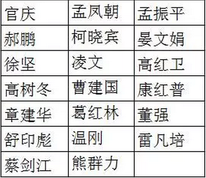 國網(wǎng)、國電投、大唐、神華、三峽等8家能源企業(yè)，總計(jì)29家央企大佬入選十九大代表