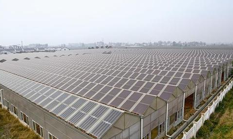 為什么光伏農(nóng)業(yè)大棚備受追捧？主要有這幾大方面原因