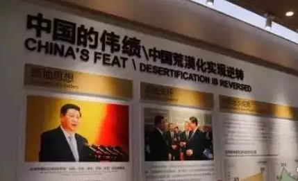 光伏板下搞養(yǎng)殖拼出&ldquo;沙漠綠洲&rdquo; 給21億人帶來希望！