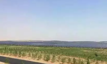 光伏板下搞養(yǎng)殖拼出&ldquo;沙漠綠洲&rdquo; 給21億人帶來希望！