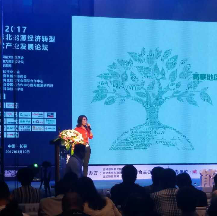 高寒地區(qū)挑戰(zhàn)多？分布式項(xiàng)目光伏逆變器的可靠性是關(guān)鍵！