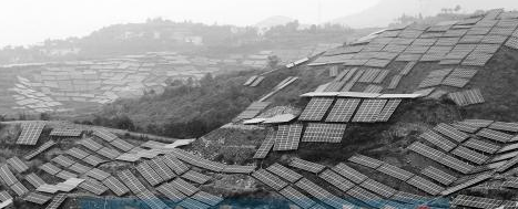 河南鞏義100棵會(huì)發(fā)電的“樹”下個(gè)月將種在310國道旁