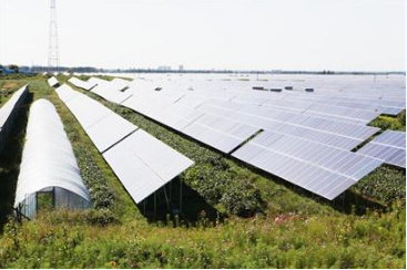 光伏農業(yè)項目開啟共贏模式