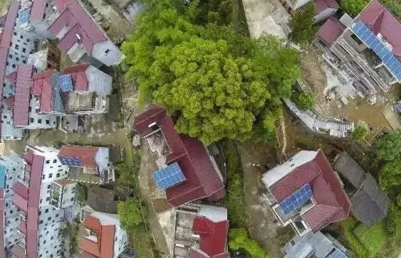 國(guó)網(wǎng)接入光伏扶貧電站9003兆瓦，惠及138.5萬(wàn)家庭