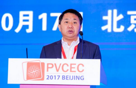 工信部副部長羅文:完善補(bǔ)貼政策 逐步下調(diào)補(bǔ)貼 加快光伏產(chǎn)業(yè)的發(fā)展