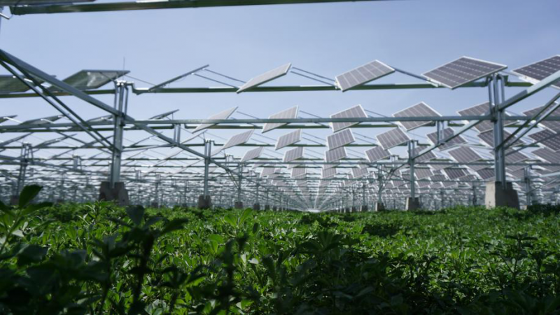 同道同景，共創(chuàng)共享|同景新能源攜手PVIC 2017 共筑光伏創(chuàng)新發(fā)展之路