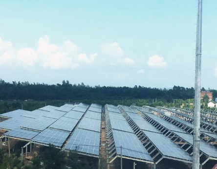 一期45MW！廣西首個(gè)海水漁光互補(bǔ)光伏電站并網(wǎng)發(fā)電