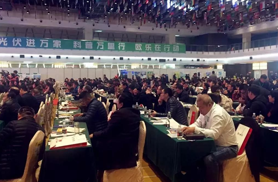 品質(zhì)鑄就品牌|錦浪科技榮膺&ldquo;2017光伏經(jīng)銷商最喜愛家用光伏系統(tǒng)品牌&rdquo;大獎