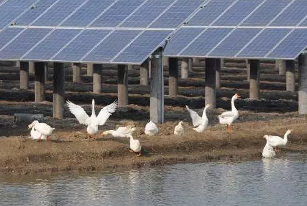 2017&rdquo;光伏下鄉(xiāng)&ldquo;開啟了萬億級(jí)光伏市場(chǎng)！