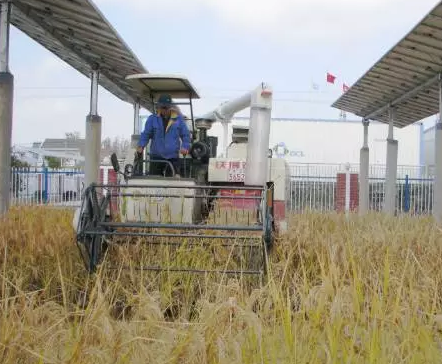 2017&rdquo;光伏下鄉(xiāng)&ldquo;開啟了萬億級(jí)光伏市場(chǎng)！