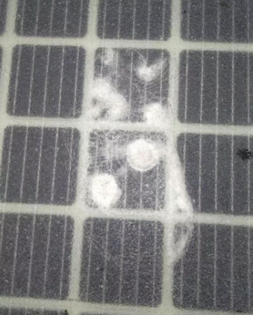 開(kāi)通僅三天 全球首條光伏高路公路遭人為破壞！