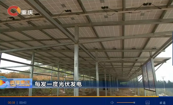 光伏發(fā)電又多了一項補貼！二氧化碳零排放補貼！