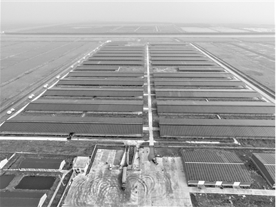 浙東最大&ldquo;牧光互補(bǔ)&rdquo;牛棚發(fā)電站項(xiàng)目投入使用