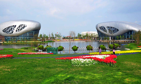 百家知名光伏企業(yè)集聚揚中，探討商業(yè)合作模式，推動綠色能源發(fā)展