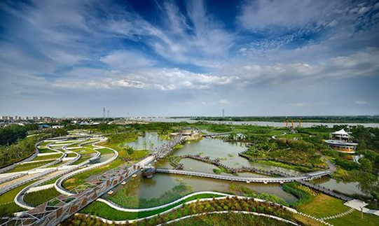 百家知名光伏企業(yè)集聚揚中，探討商業(yè)合作模式，推動綠色能源發(fā)展