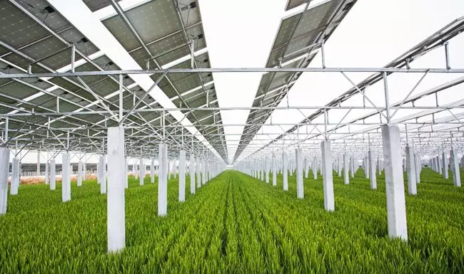 中利集團&mdash;騰暉光伏將出席「2018戶用光伏創(chuàng)新論壇暨光伏扶貧研討會&bull;安徽站」