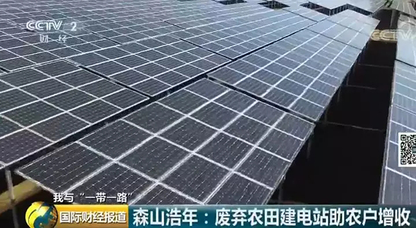 中國央企用光伏帶日本農(nóng)民致富！10倍租金盤活荒廢農(nóng)地