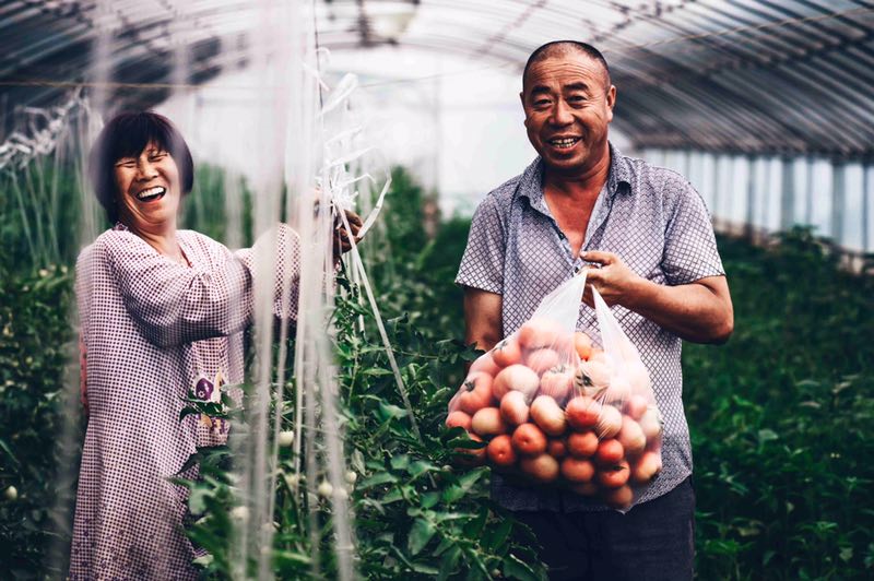 光伏扶貧3.0&ldquo;鑫模式&rdquo;入選SNEC2018展會 &ldquo;十大亮點&rdquo;