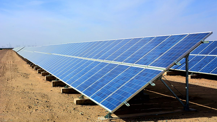 近日，中廣核樂(lè)陵農(nóng)光互補(bǔ)扶貧協(xié)作項(xiàng)目通過(guò)省、市專(zhuān)家組現(xiàn)場(chǎng)驗(yàn)收，實(shí)現(xiàn)并網(wǎng)發(fā)電。