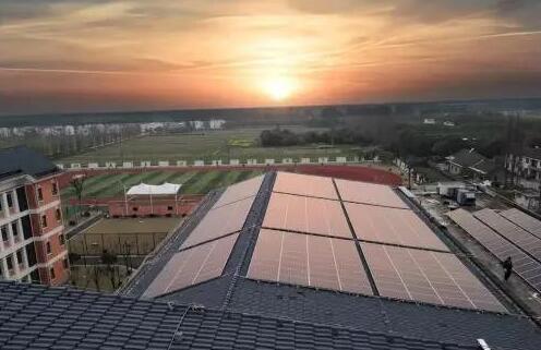 綠色低碳理念從娃娃抓起！看上海這所學(xué)校如何做到每年植樹6000棵？