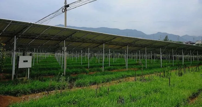 商洛市3MW農(nóng)光互補項目成示范，首航逆變器穩(wěn)定助力，業(yè)主收益有保障