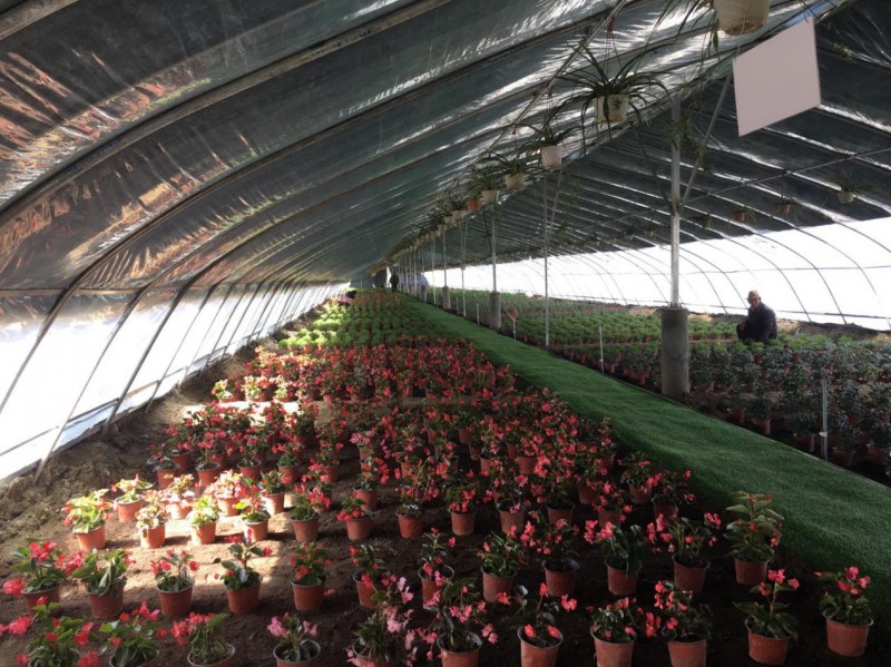 中利集團(tuán):“貧困村光伏農(nóng)場”惠及西藏深度貧困地區(qū)