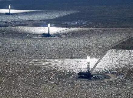 如何守護光熱電站廠區(qū)內(nèi)的野生動植物？看海外幾個光熱項目是如何做的