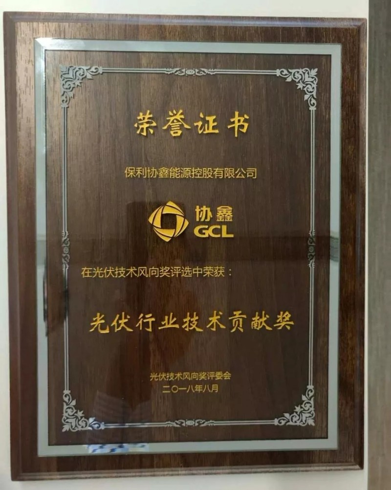 引領(lǐng)黑硅高效光伏，保利協(xié)鑫榮膺&ldquo;光伏行業(yè)技術(shù)貢獻(xiàn)獎(jiǎng)&rdquo;