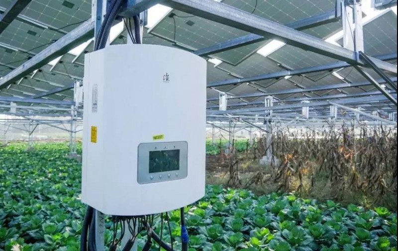 　　據(jù)央視記者報道，近日，錦浪科技助力湖北省宜城王集鎮(zhèn)觀音村，采用典型的&ldquo;農(nóng)光互補&rdquo;模式，實現(xiàn)了全村人共同&ldquo;生態(tài)收益&rdquo;的目標，引起了廣大人民群眾的熱烈反響。 　　 　　走進光伏電站區(qū)，首先映入眼簾的是一片藍汪汪的光伏海洋，一望無際，若是走近仔細一看，才發(fā)現(xiàn)這么一大片區(qū)域里不完全是光伏板，原來在光伏板下邊還有另一片&ldquo;柳暗花明&rdquo;的天地，綠油油的青菜鋪滿整塊地面實在好看極了。 　　 　　據(jù)記者報道，這便是觀音村這兩年響應(yīng)國家&ldquo;精準扶貧&rdquo;和&ldquo;光伏扶貧&rdquo;政策，投資2億元建成20MWP&ldquo;農(nóng)光互補&rdquo;地面光伏電站。此電站光伏支架采用的是同景新能源的跟蹤支架，逆變器采用了錦浪科技公司的50kW逆變器，以它相對較小的外形，為運輸免去了不少成本，提供了便捷安裝；4路MPPT接入，每路額定28.5A，兼容大功率組件，設(shè)計更靈活；充分的冗余設(shè)計保障逆變器長壽命可靠運行。 　　 　　同景新能源有限公司總經(jīng)理郤維平在現(xiàn)場對記者解釋，&ldquo;我們主要的優(yōu)勢是跟蹤，我們有500臺跟蹤器可以自動跟蹤，也就是我們常說的&lsquo;光伏板跟著太陽走&rsquo;，這樣他與其它電站相比，它是固定式的，我們的發(fā)電量同比要增加20%。&rdquo;他接著說道，&ldquo;我們不破壞土地，活動支架，我們平時看到的可能都是打樁式的，而我們這個是小水泥塊，直接放在土地表面，可以自由移動。&rdquo;這種獨特安全的安裝方式得到農(nóng)民的大力支持。 　　 　　據(jù)現(xiàn)場村民說，這里的主要農(nóng)作物有黃精，桔梗，花生，魔芋等，以黃精價值尤為突出，黃精作為一種名貴藥材喜歡蔭涼，所以光伏板既全方位吸收了太陽能，又很好的為農(nóng)作物起到了遮陽的作用；它的生長周期需要兩三年，然而價值非?？捎^，給他們帶來相當不錯的收益。 　　 　　王集鎮(zhèn)觀音村這種典型的&ldquo;農(nóng)光互補&rdquo;模式，正是利用較少的投資獲得更多的利益，實現(xiàn)了&ldquo;光伏脫貧&rdquo;的&ldquo;生態(tài)效益&rdquo;的目的，還讓當?shù)剞r(nóng)民每年有了一份固定的收入。據(jù)統(tǒng)計，一畝地一年能收入5萬元，人均年收入可達2.5萬元以上。 　　 　　國家近年來推行的&ldquo;光伏扶貧&rdquo;政策越來越深入人心，讓一批又一批的農(nóng)民走上了脫貧致富的道路，我們也希望更多的農(nóng)民能夠利用這種&ldquo;農(nóng)光互補&rdquo;的模式，早日擺脫貧困生活，實現(xiàn)共同富裕。