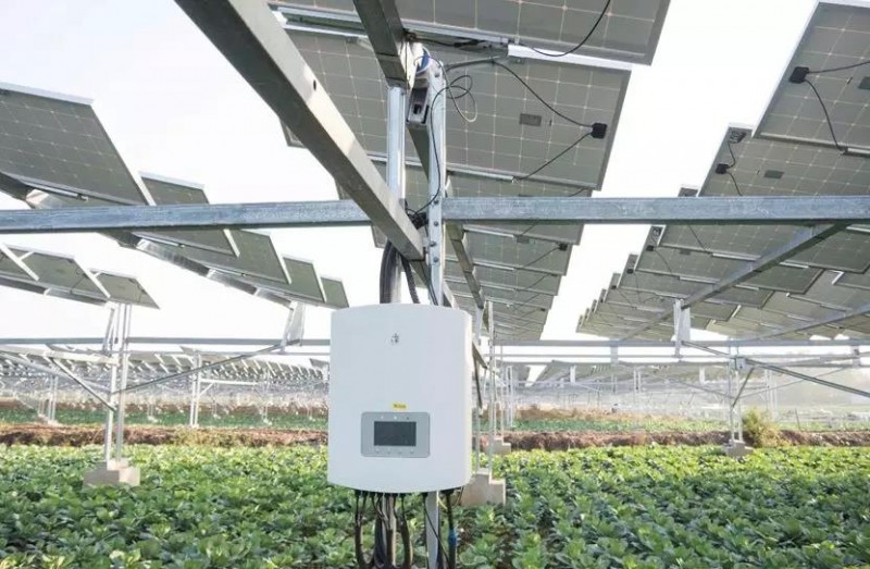 　　據(jù)央視記者報道，近日，錦浪科技助力湖北省宜城王集鎮(zhèn)觀音村，采用典型的&ldquo;農(nóng)光互補&rdquo;模式，實現(xiàn)了全村人共同&ldquo;生態(tài)收益&rdquo;的目標，引起了廣大人民群眾的熱烈反響。 　　 　　走進光伏電站區(qū)，首先映入眼簾的是一片藍汪汪的光伏海洋，一望無際，若是走近仔細一看，才發(fā)現(xiàn)這么一大片區(qū)域里不完全是光伏板，原來在光伏板下邊還有另一片&ldquo;柳暗花明&rdquo;的天地，綠油油的青菜鋪滿整塊地面實在好看極了。 　　 　　據(jù)記者報道，這便是觀音村這兩年響應(yīng)國家&ldquo;精準扶貧&rdquo;和&ldquo;光伏扶貧&rdquo;政策，投資2億元建成20MWP&ldquo;農(nóng)光互補&rdquo;地面光伏電站。此電站光伏支架采用的是同景新能源的跟蹤支架，逆變器采用了錦浪科技公司的50kW逆變器，以它相對較小的外形，為運輸免去了不少成本，提供了便捷安裝；4路MPPT接入，每路額定28.5A，兼容大功率組件，設(shè)計更靈活；充分的冗余設(shè)計保障逆變器長壽命可靠運行。 　　 　　同景新能源有限公司總經(jīng)理郤維平在現(xiàn)場對記者解釋，&ldquo;我們主要的優(yōu)勢是跟蹤，我們有500臺跟蹤器可以自動跟蹤，也就是我們常說的&lsquo;光伏板跟著太陽走&rsquo;，這樣他與其它電站相比，它是固定式的，我們的發(fā)電量同比要增加20%。&rdquo;他接著說道，&ldquo;我們不破壞土地，活動支架，我們平時看到的可能都是打樁式的，而我們這個是小水泥塊，直接放在土地表面，可以自由移動。&rdquo;這種獨特安全的安裝方式得到農(nóng)民的大力支持。 　　 　　據(jù)現(xiàn)場村民說，這里的主要農(nóng)作物有黃精，桔梗，花生，魔芋等，以黃精價值尤為突出，黃精作為一種名貴藥材喜歡蔭涼，所以光伏板既全方位吸收了太陽能，又很好的為農(nóng)作物起到了遮陽的作用；它的生長周期需要兩三年，然而價值非常可觀，給他們帶來相當不錯的收益。 　　 　　王集鎮(zhèn)觀音村這種典型的&ldquo;農(nóng)光互補&rdquo;模式，正是利用較少的投資獲得更多的利益，實現(xiàn)了&ldquo;光伏脫貧&rdquo;的&ldquo;生態(tài)效益&rdquo;的目的，還讓當?shù)剞r(nóng)民每年有了一份固定的收入。據(jù)統(tǒng)計，一畝地一年能收入5萬元，人均年收入可達2.5萬元以上。 　　 　　國家近年來推行的&ldquo;光伏扶貧&rdquo;政策越來越深入人心，讓一批又一批的農(nóng)民走上了脫貧致富的道路，我們也希望更多的農(nóng)民能夠利用這種&ldquo;農(nóng)光互補&rdquo;的模式，早日擺脫貧困生活，實現(xiàn)共同富裕。