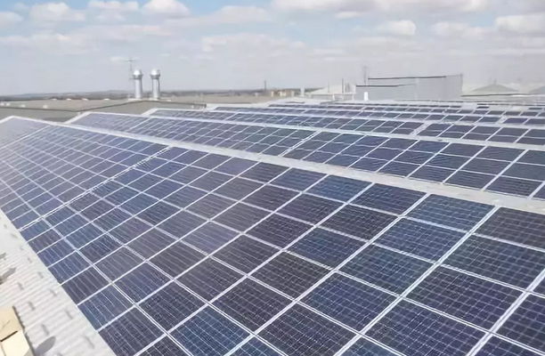 行業(yè)慘淡企業(yè)叫窮，光伏裝機(jī)為何反超預(yù)期？